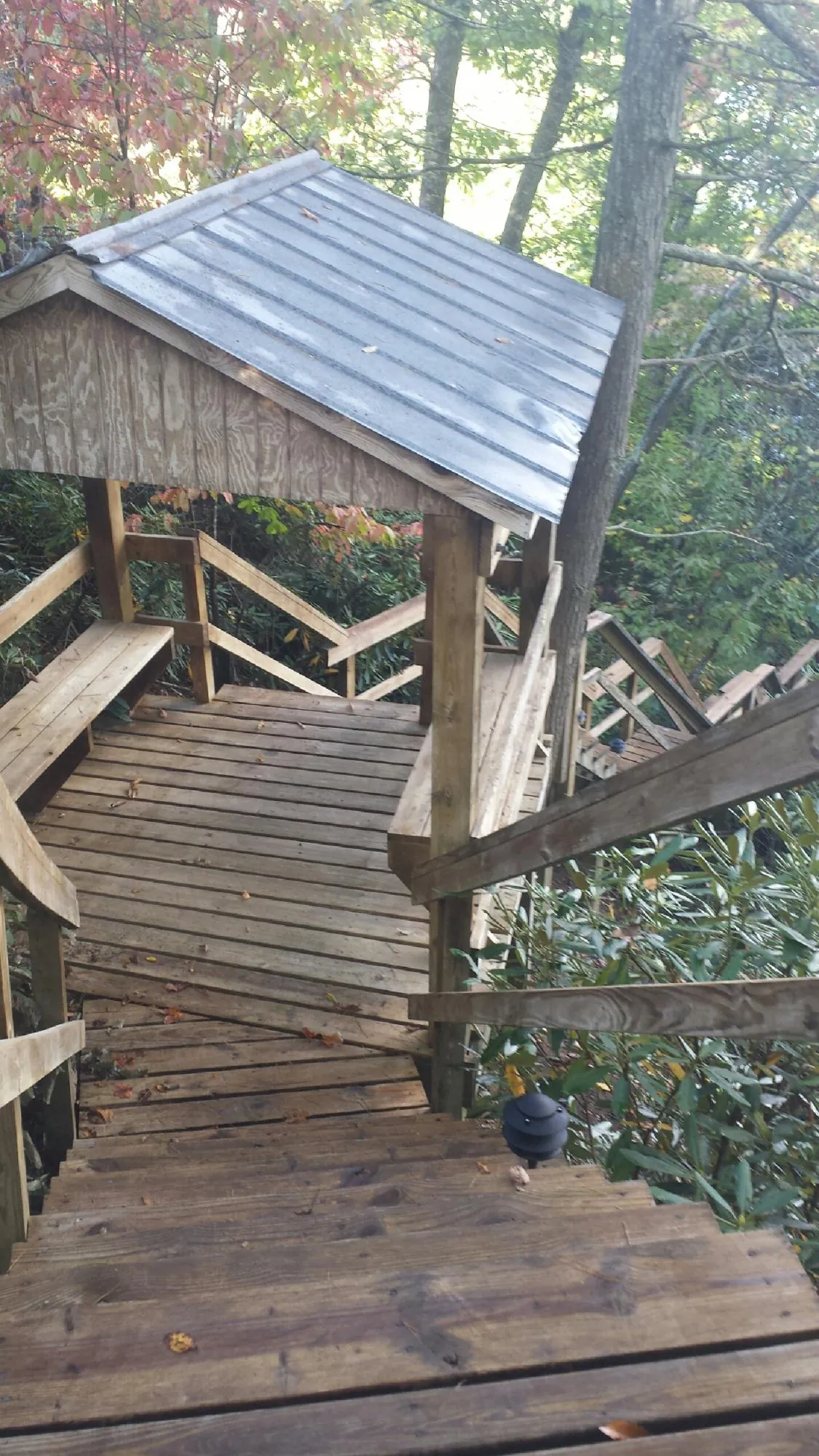 Metal roofed shelter over wooden steps on a wooded walkway — Skylight Repair & Installation work by our crew in Eden